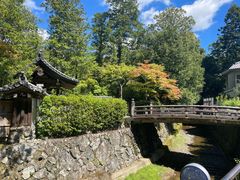-西芳寺(苔寺)