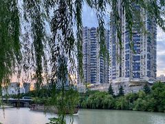 -运河游船(武林门码头)