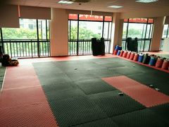 android_upload_pic-金翼跆拳道巴西柔术拳击格斗学院