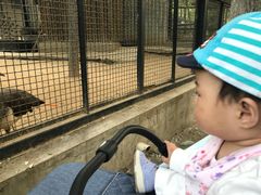 -石家庄市动物园