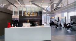 -BOF HAIR BY HONTO