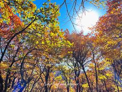 -玉渡山自然风景区