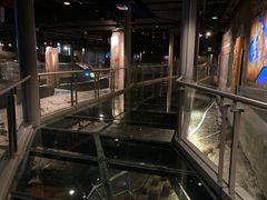 -元代水闸遗址博物馆