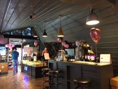 -枫花园汽车电影院(朝阳公园店)