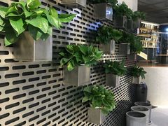 -CoCo都可(360丰产店)