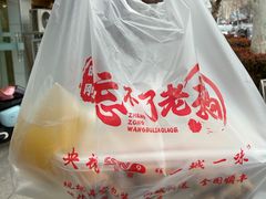 -正宗忘不了老鹅(梅岭店)