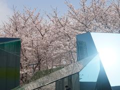 -龙美术馆(西岸馆)