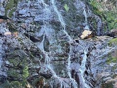 -江西阳明山国家森林公园