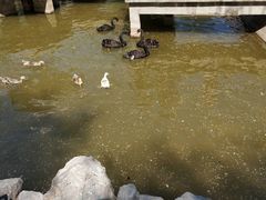 -森林公园(尖草坪区)