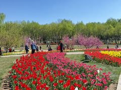 -石家庄市植物园