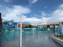 -海合安武汉极地海洋公园