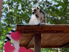 -乐和乐都主题乐园