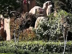 -临沂动植物园