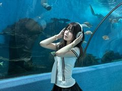 -合肥海洋世界