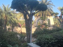 -三亚海棠湾喜来登度假酒店