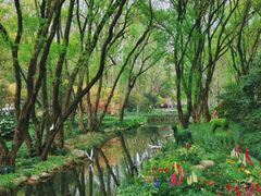 -上海共青森林公园