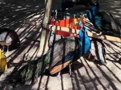 -广州白江湖森林公园