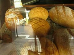 -Juicy Bakery(大学路店)