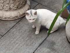 -寒山寺