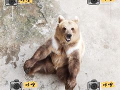 -哈尔滨北方森林动物园