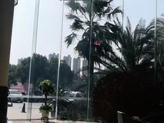 -华信天港禧悦酒店·浩自助餐厅(宁波奉化万达广场店)