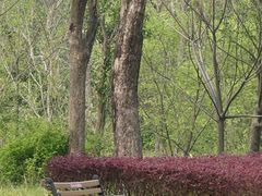 -昆山城市生态森林公园