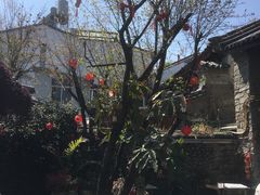 -尽善百年古院餐厅(王家老宅店)