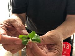 -太湖好灶头土菜馆(石公路店)