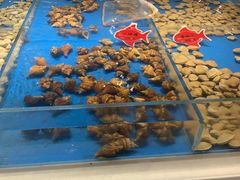 -小平岛开海水饺(皇姑店)