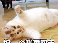 -帝京日语(春熙路旗舰校区)