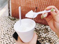 -洪馨椰子