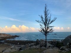 -广东惠东海龟国家级自然保护区