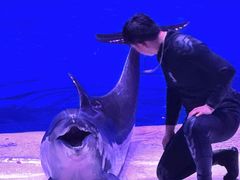 -华夏文旅海洋公园