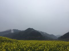 -新安江山水画廊风景区