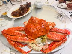 -海港酒家(上水新丰店)