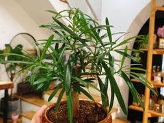 -森野花艺培训·企业团建活动沙龙