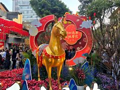 -越秀西湖花市(广州城市广场花卉店)