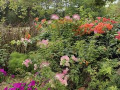-东莞植物园