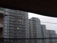 -金枫锅贴(滨江·凯旋门店)