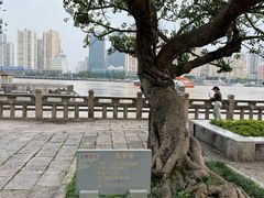 -江心屿景区