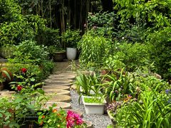 -谷咖啡·鲜花绿植花园餐厅