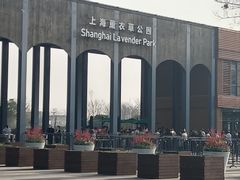 -季高兔窝窝亲子园(上海薰衣草公园店)