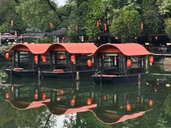 -侨美·唐荔园·40年地道粤菜