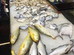 -御唐府海珊瑚主题餐厅