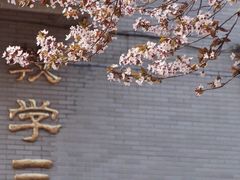 -山东师范大学(千佛山校区)