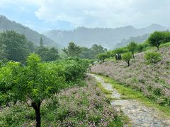 -广州市石门国家森林公园