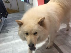 -肆兮眼镜·蔡司·徕卡战略合作店(大坪店)