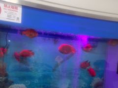 -雅悦齿科(顾村公园店)