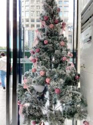 -3AM HAIR SALON染发接发