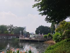 -荔湾湖公园